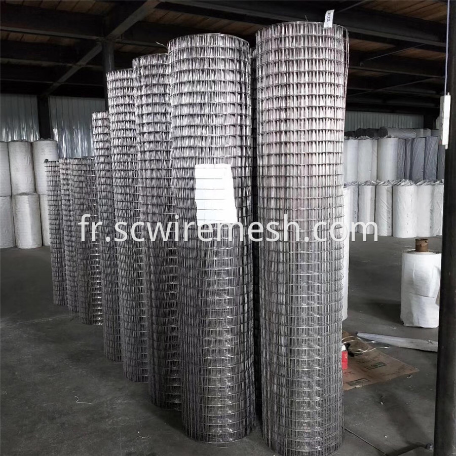 Welded Wire Mesh Rolls